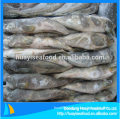 frozen fat greenling fish perfect supplier and exporter